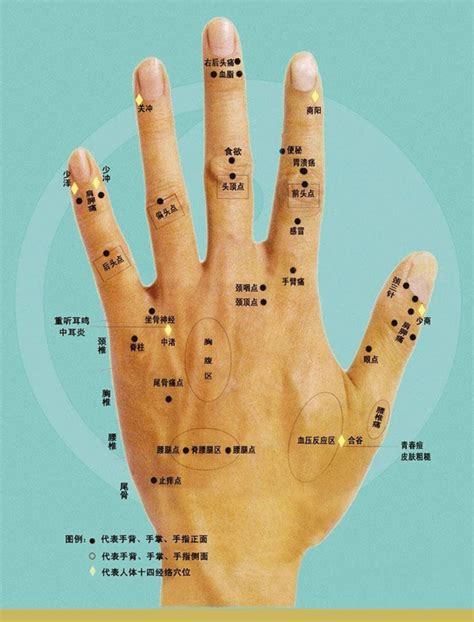 皇冠三間飼養 手指長痣代表什麼